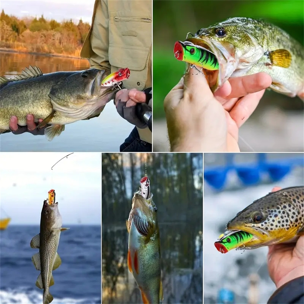 5Pcs Popper Fishing Lures 3d E - огляд і ціна 3D Printing Lure